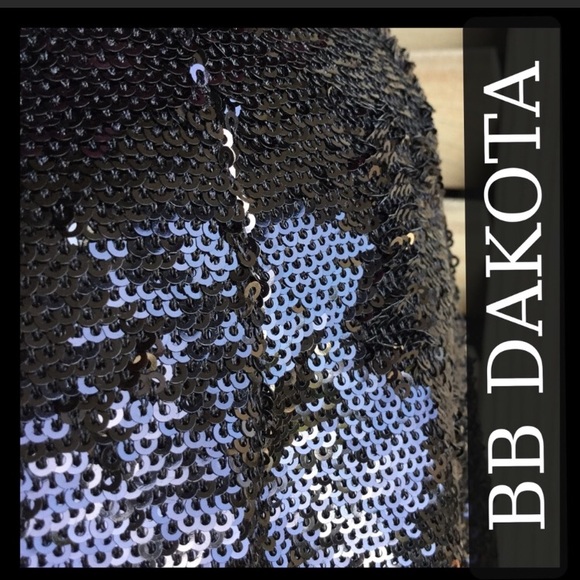 BB Dakota sequin skirt NWT S - Picture 2 of 4
